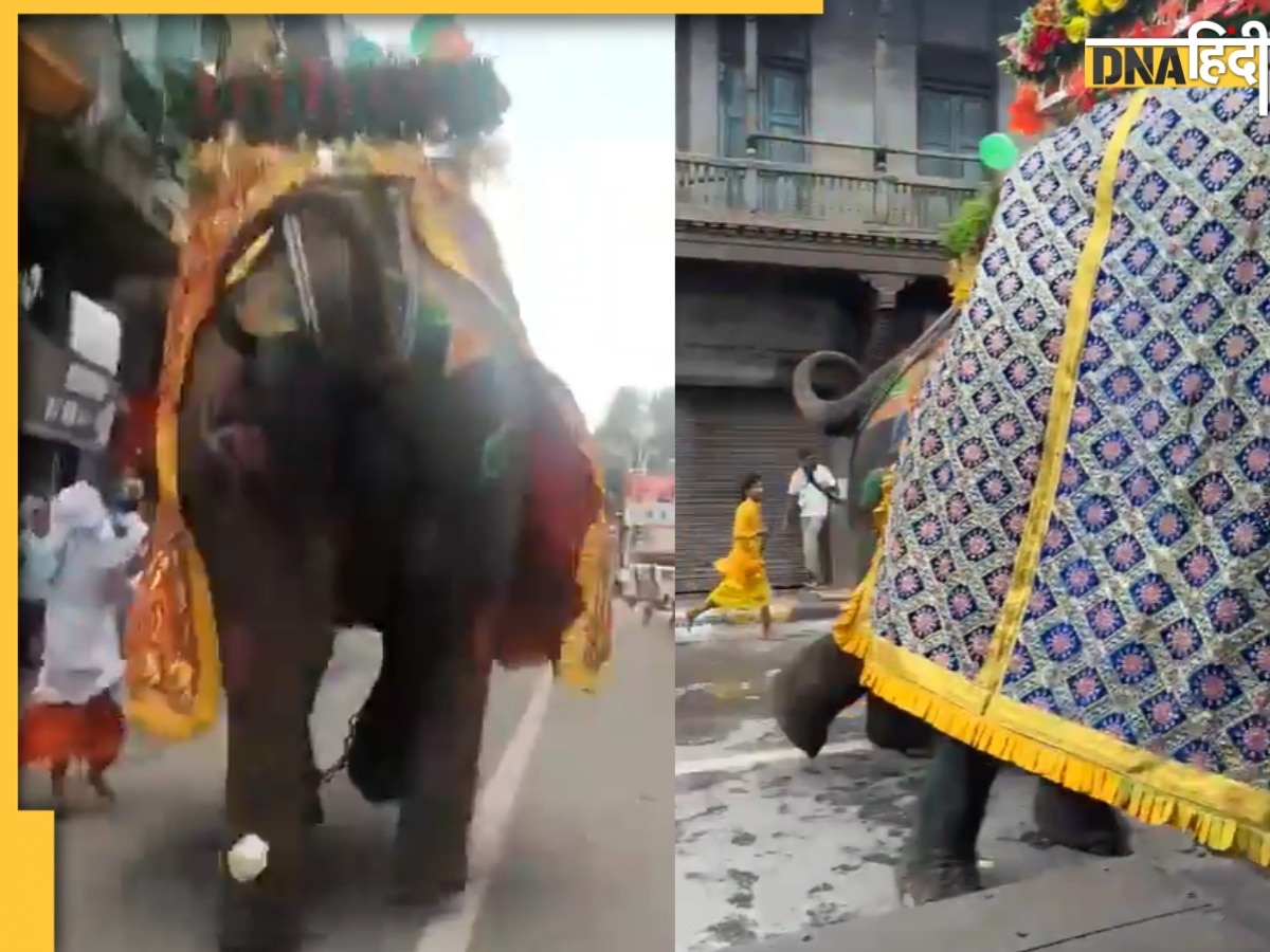 Ahmedabad Rath yatra 2025: अहमदाबाद जगन्नाथ रथयात्रा में बेकाबू हुआ हाथी, जान बचाने के लिए मची भगदड़, Video Viral 