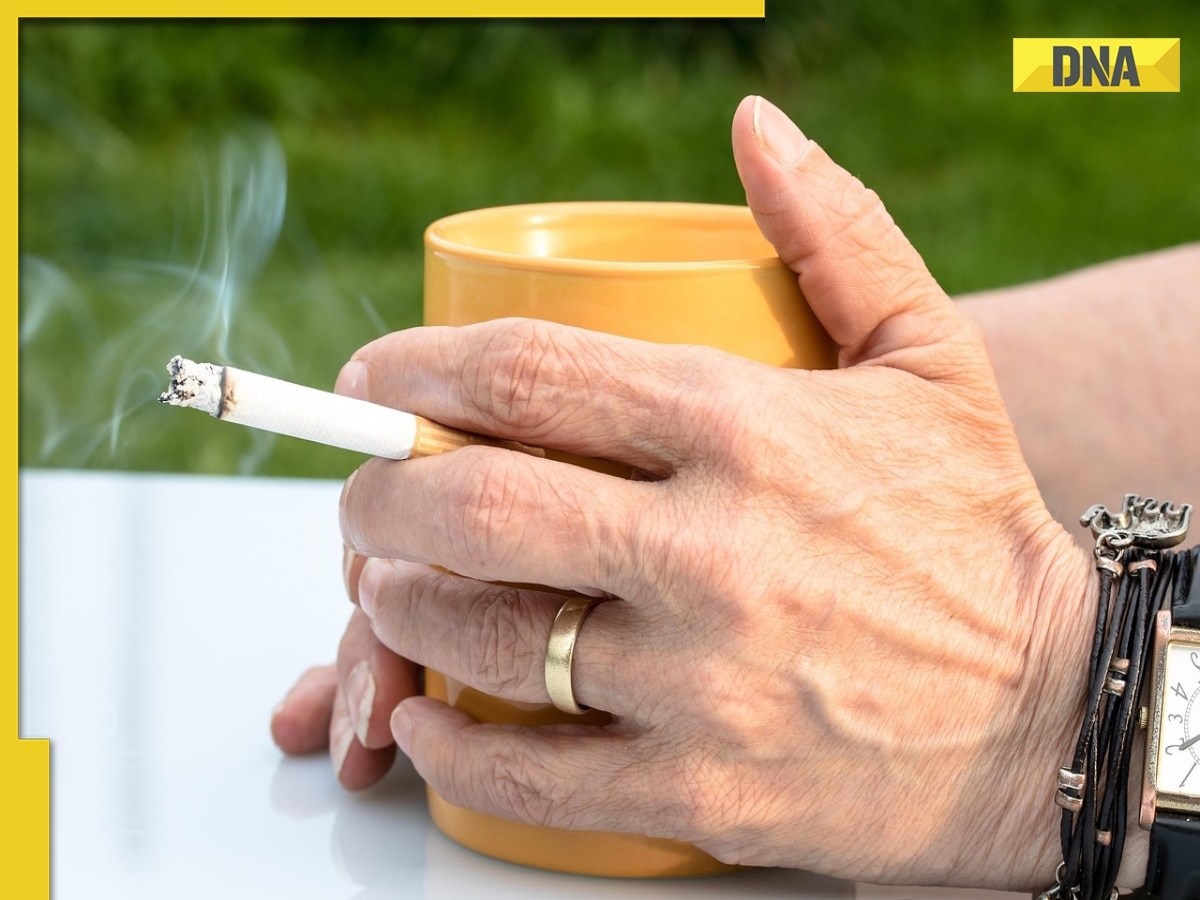 This country bans smoking in parks, beaches and bus stops, reason is..., violators will face a fine of Rs...