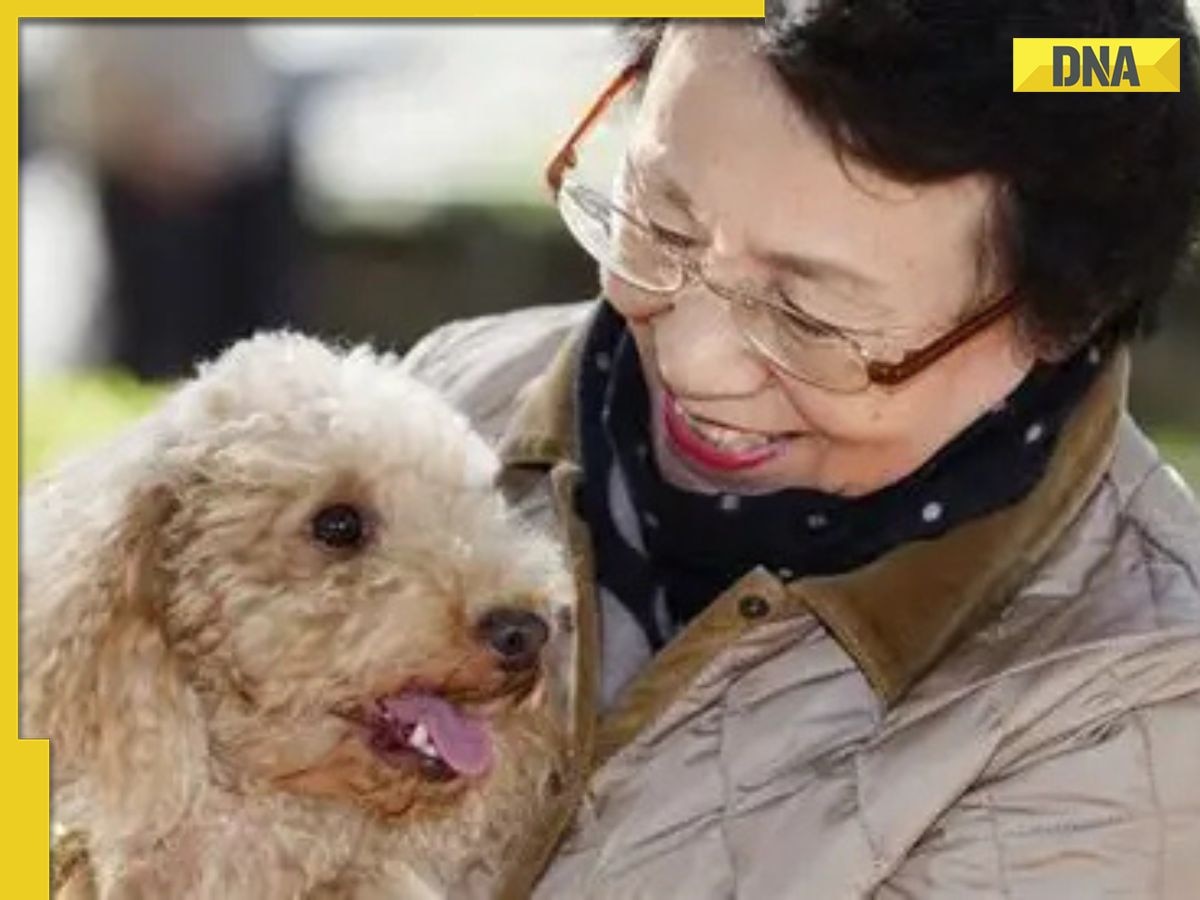 This country has more pets than children due to...., its staggering population is...,