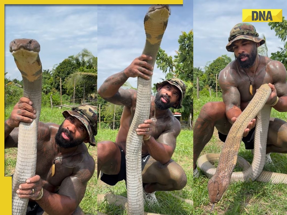 SHOCKING! Man lifts massive king cobra with bare hands, netizens call him..., watch viral video 