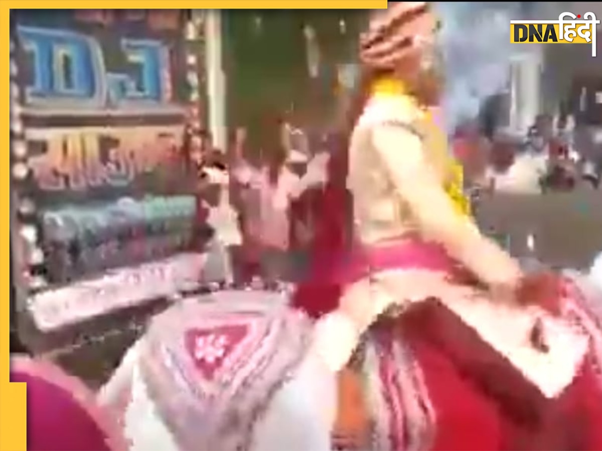 दूल्हा तो तैयार था, लेकिन घोड़ी बिना दुल्हन लिए ही हुई उड़न छू, शादी का ये Viral Video देख नहीं रुकेगी हंसी