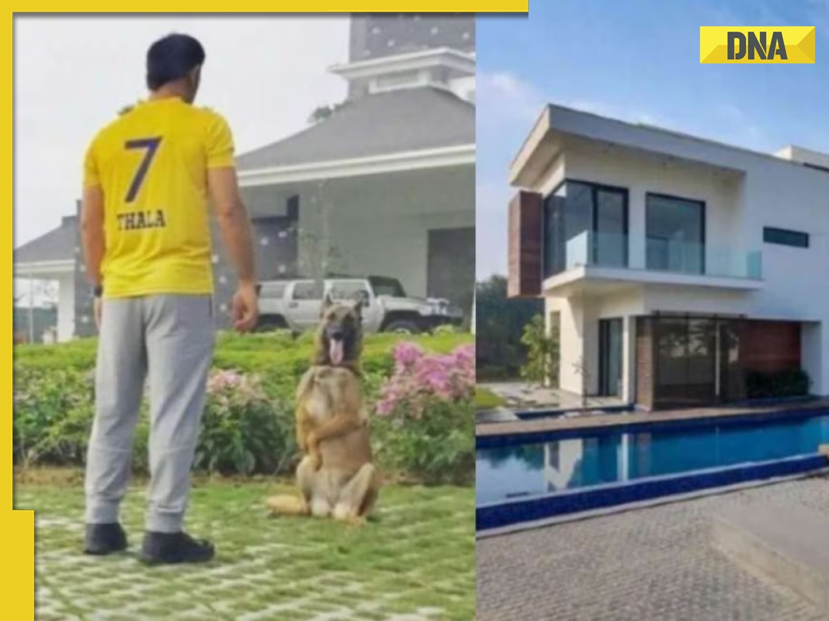 You can now order chicken from MS Dhoni's farmhouse for Rs.../kg, fish, vegetables, fruits also available, know how to order