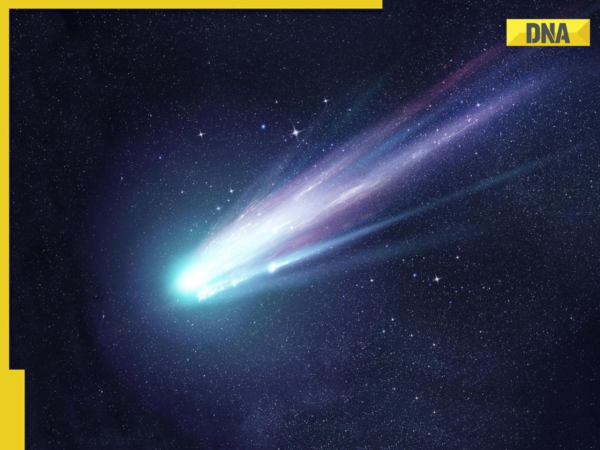 Rare object in our solar system! NASA’s surprising revelations about new comet named..., ‘rare opportunity to study...’ 