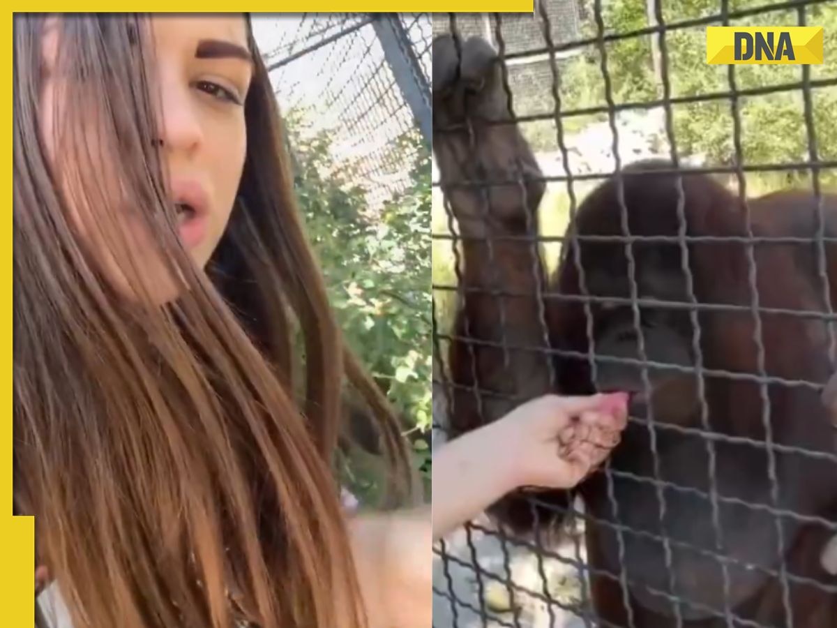 Viral video: Russian boxer under fire for forcing Orangutan to vape, animal’s health now at risk