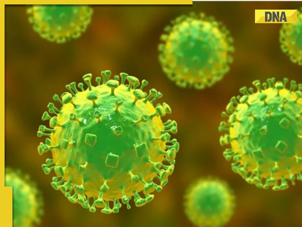  What is it and what are its symptoms?