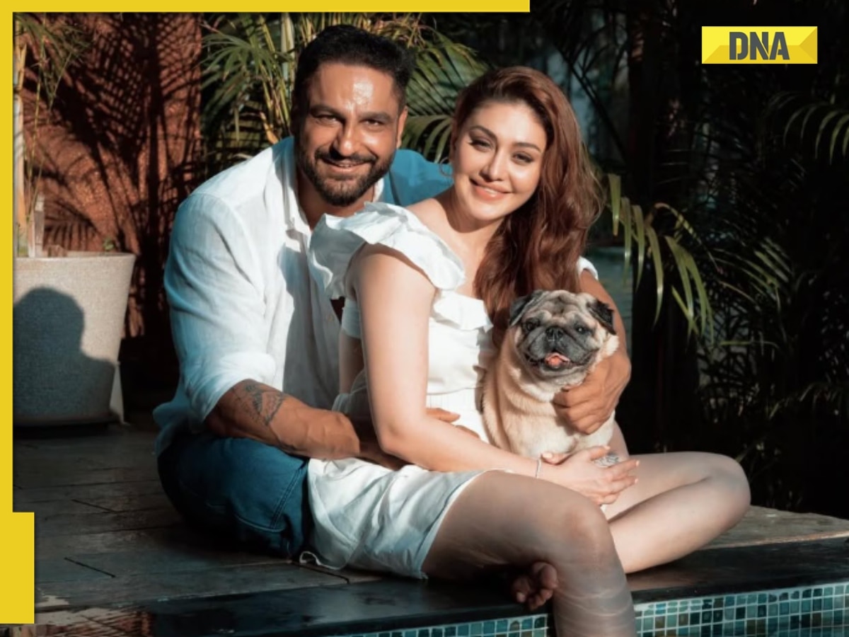 You should understand...': Paras Chhabra reveals why Parag Tyagi took pet  dog for walk after Shefali Jariwala's death