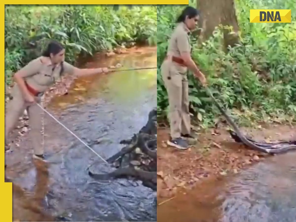 'Salute to her': Woman officer captures giant king cobra all alone in just six minutes, WATCH viral video