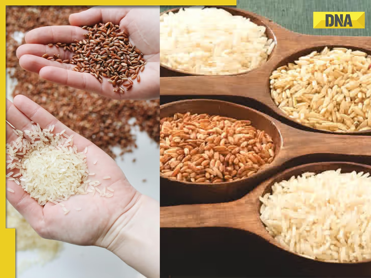 White rice vs brown rice: Which is healthier option for weight loss, control blood sugar level, digestion, more 