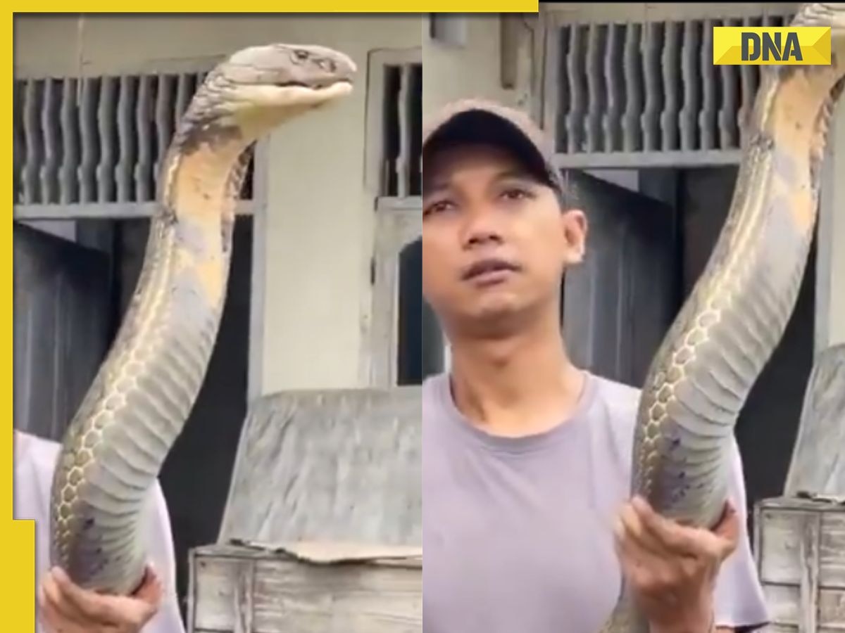 Viral video: Man fearlessly holds 18-foot king cobra with bare hands, netizens say 'I can't believe this'