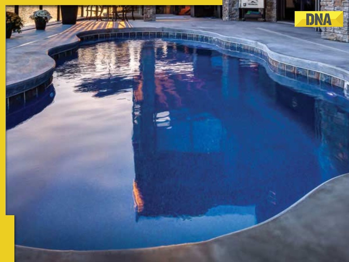 'I'd love to work here': This company turns dry swimming pool into office space