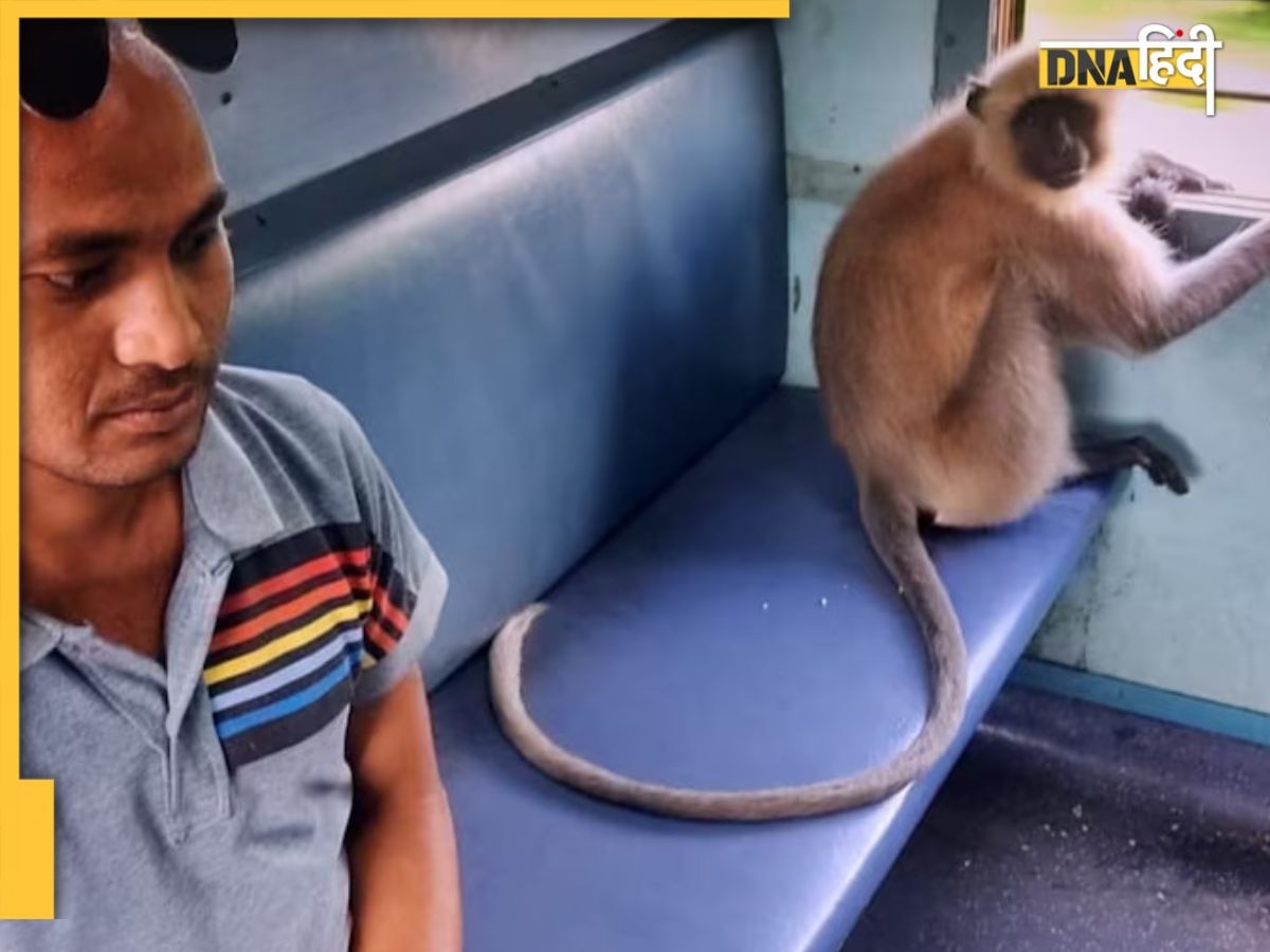 ट्रेन में लंगूर की यात्रा! ना हंगामा, ना शोर... बस शांति से बैठा और पहुंच गया रांची
