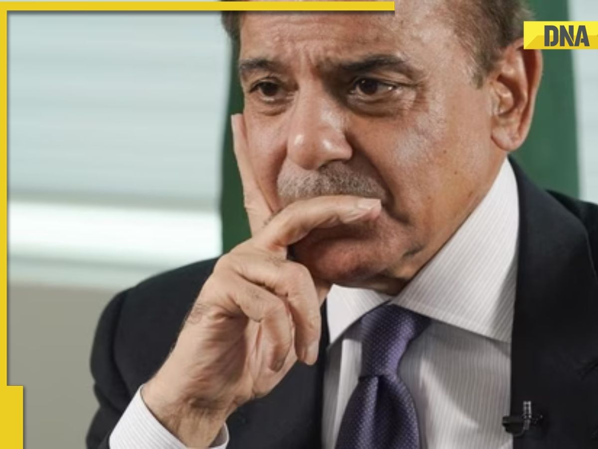 PM Shehbaz Sharif makes BIG statement on use of 'nuclear' weapons during India-Pak conflict, says, 'it is solely...'