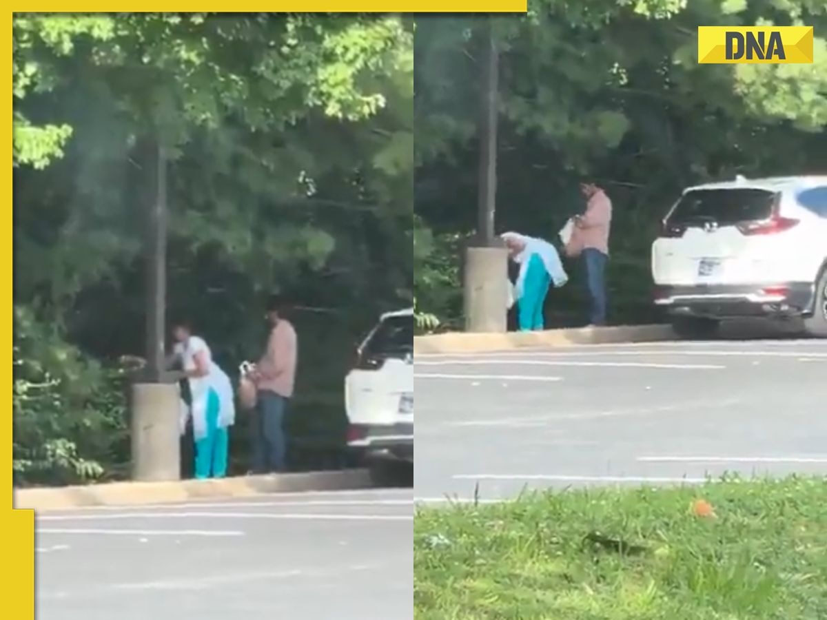 Viral video: Couple caught throwing trash in Canadian forest, netizens say 'impose fine'