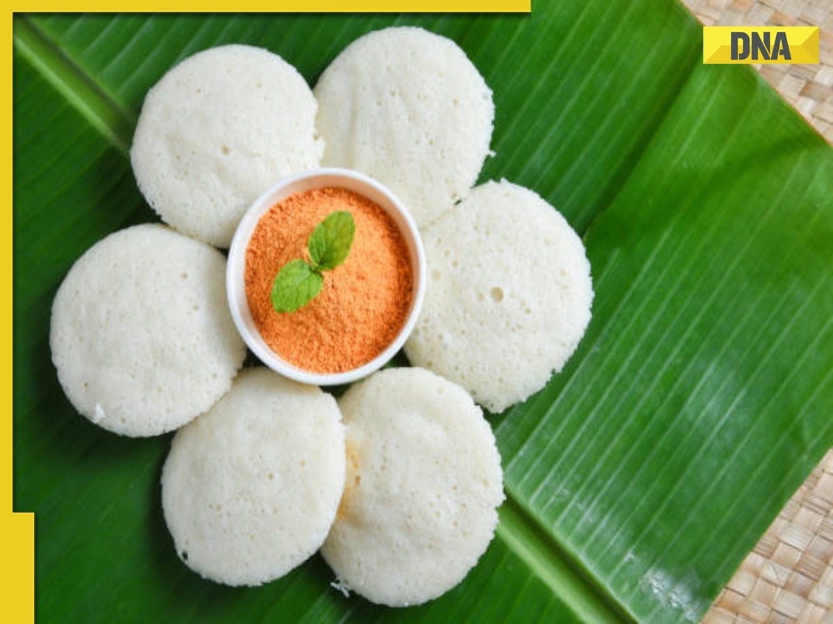 From ragi idli to jowar upma, grilled fish with veggies: Check what's on Parliament's new 'health menu' for MPs 