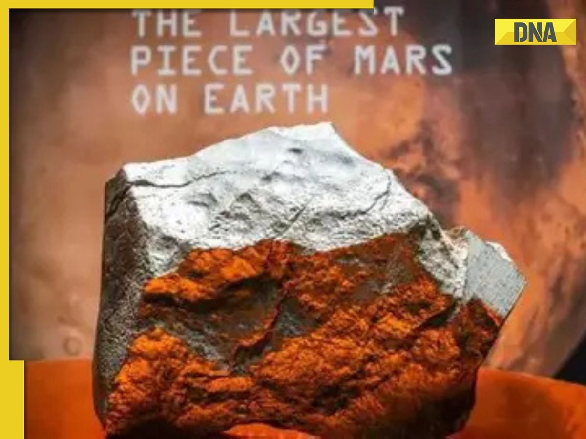 Largest piece of Mars found on earth sold for Rs..., discovered at Sahara Desert, it weighs..., know how it reached earth
