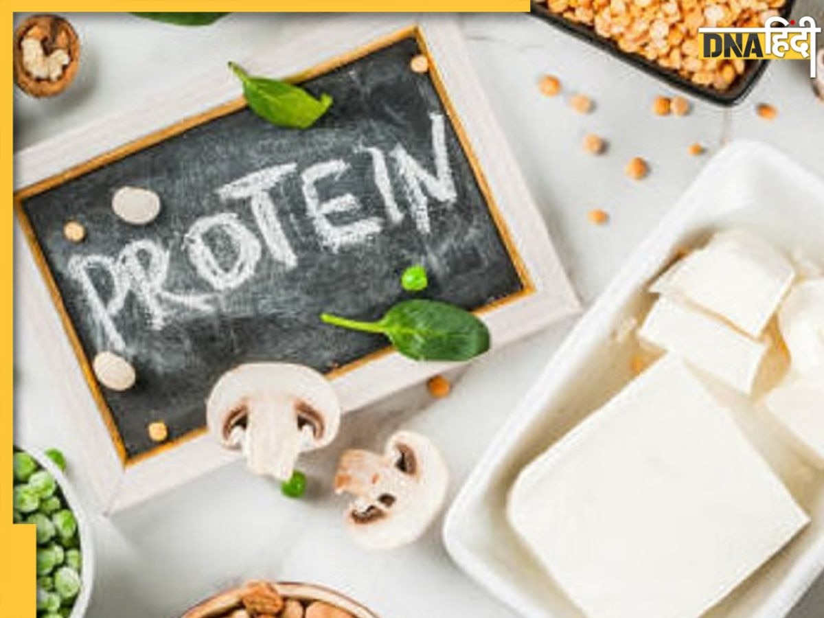 नॉनवेज नहीं, इन शाकाहारी चीजों को खाने से मिलेगा भरपूर प्रोटीन, ये हैं 5 Plant Based Protein Foods