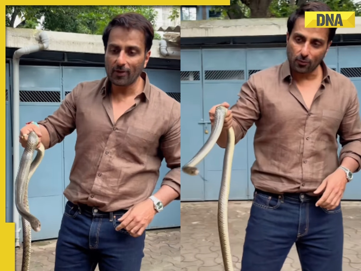 Sonu Sood finds snake in Mumbai building, catches it with bare hands: Watch viral video