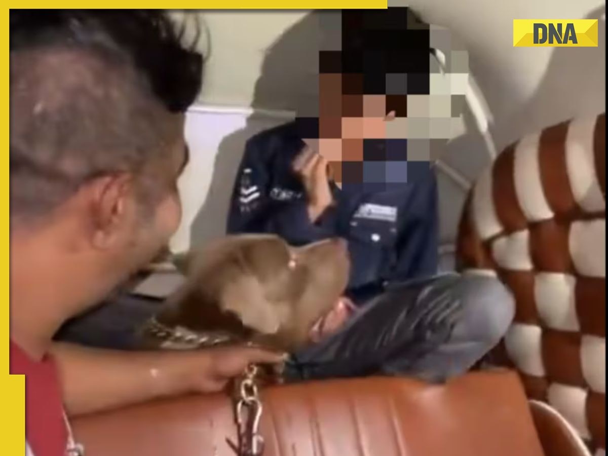 Pit bull attacks child in Mumbai auto rickshaw as owner laughs, video goes viral