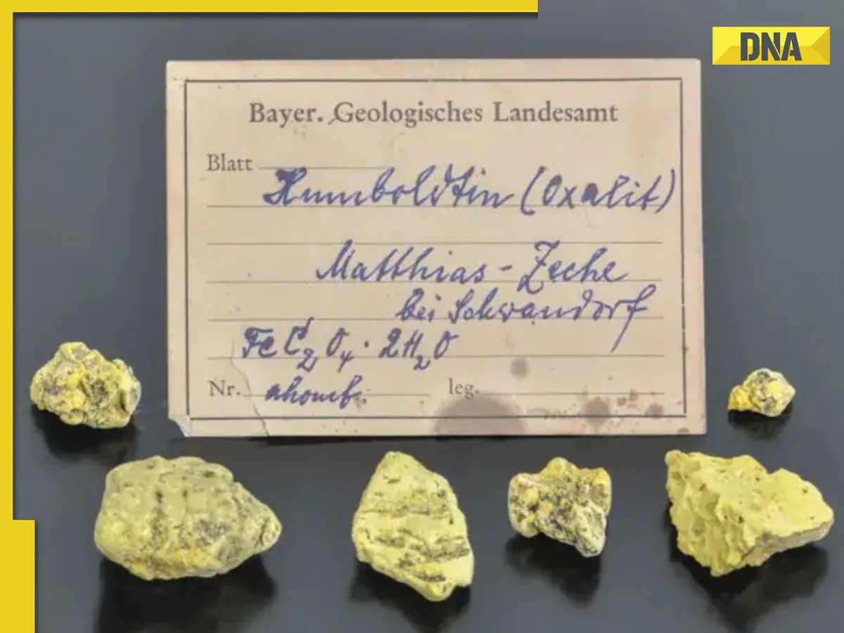 75-year-old letter found accidently leads scientists to one of Earth’s rarest minerals in...
