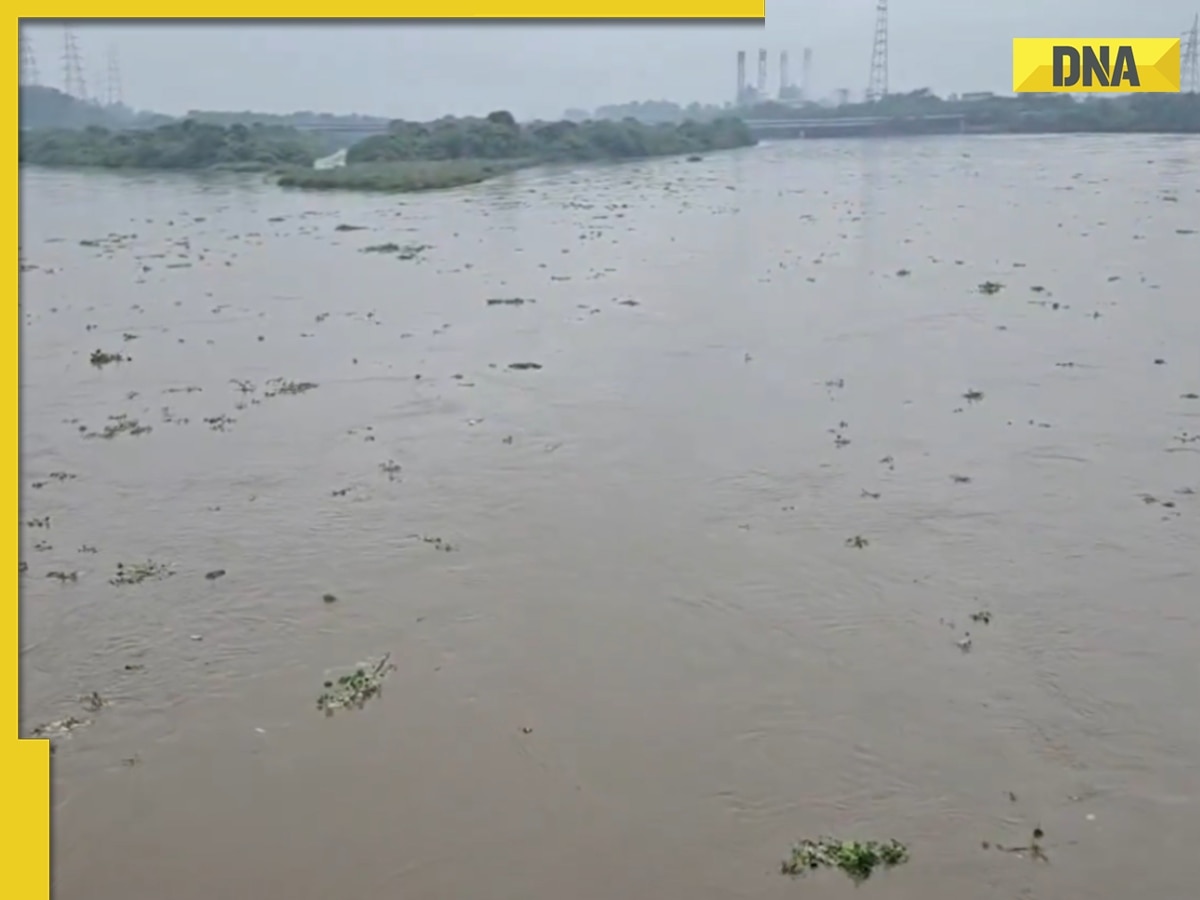 Delhi Rains: Yamuna 0.37 metre away from its WARNING level as water reaches...