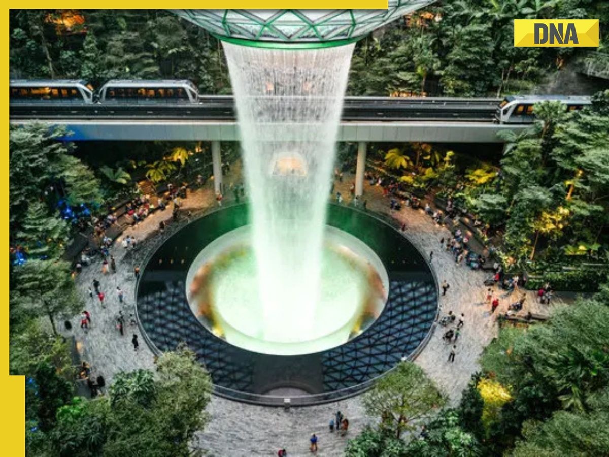 This Indian man stole Rs 3.5 lakh worth of items from Singapore Airport, got caught after returning