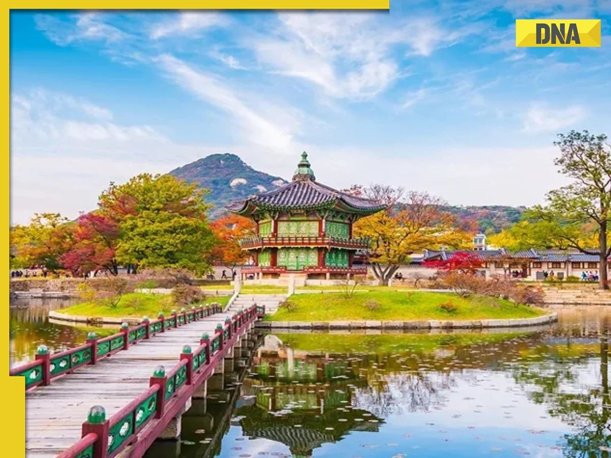 Planning a trip to South Korea? This viral video shows how to explore the country in just Rs...
