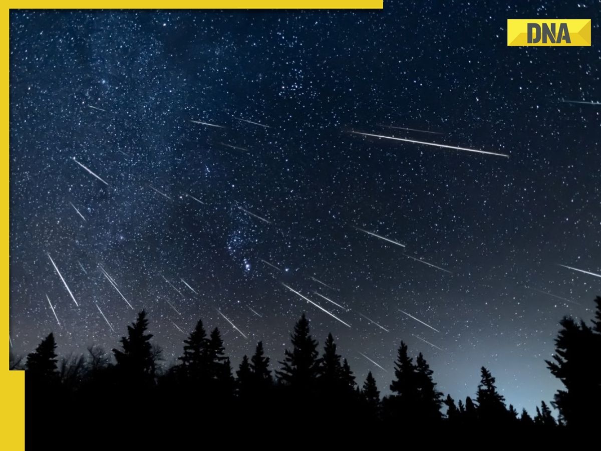 Double meteor shower tonight: When and where to watch in India?