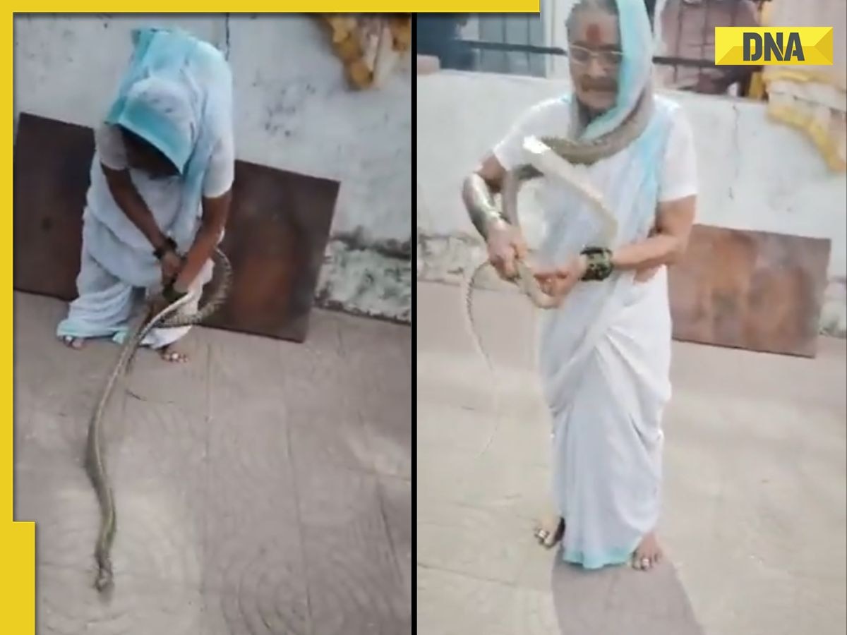 Viral video: 70-year-old Pune woman calmly catches snake with bare hands, Internet amazed