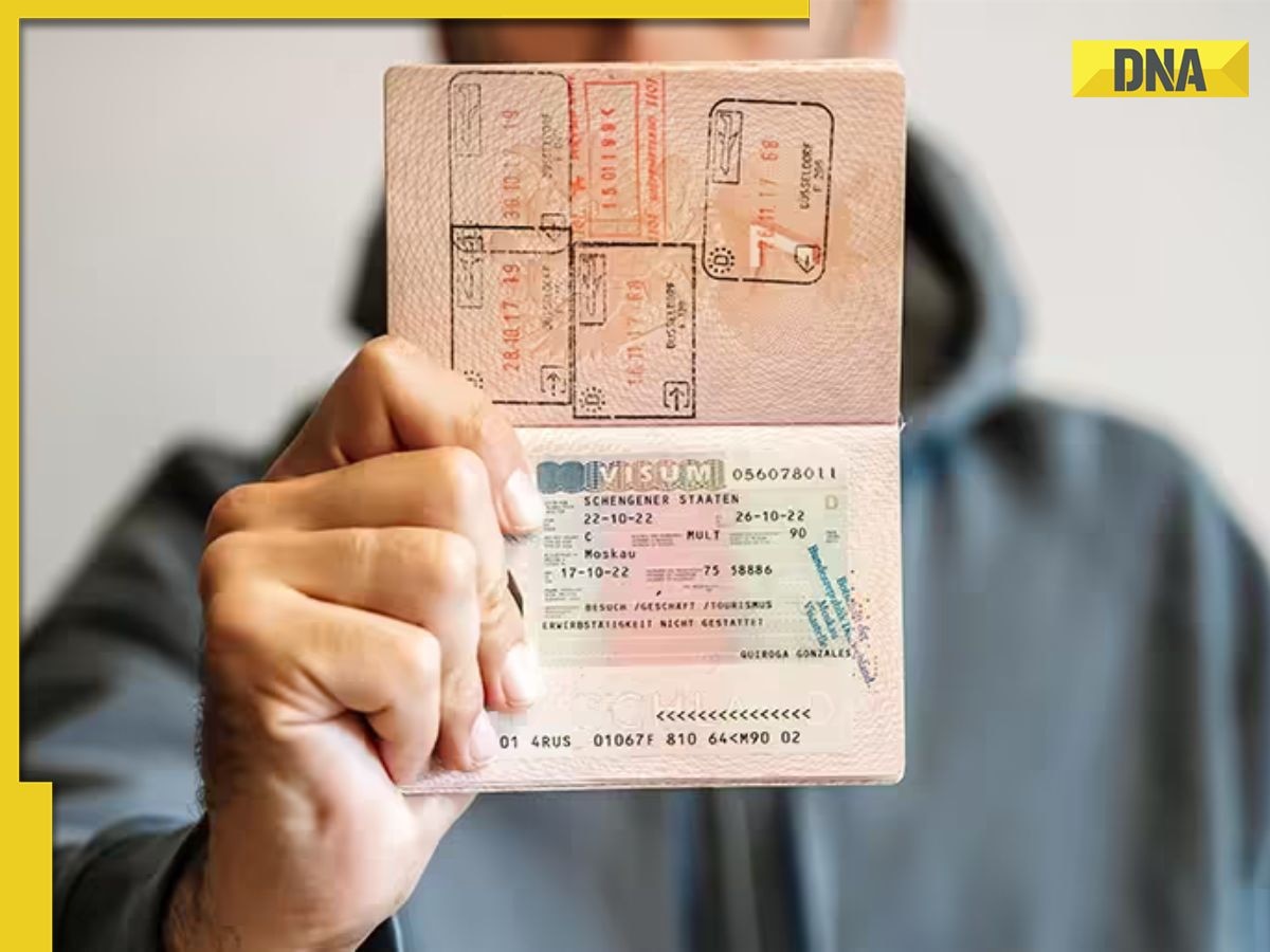 Indian traveller gets 5-year Schengen visa in 4 days, internet asks how