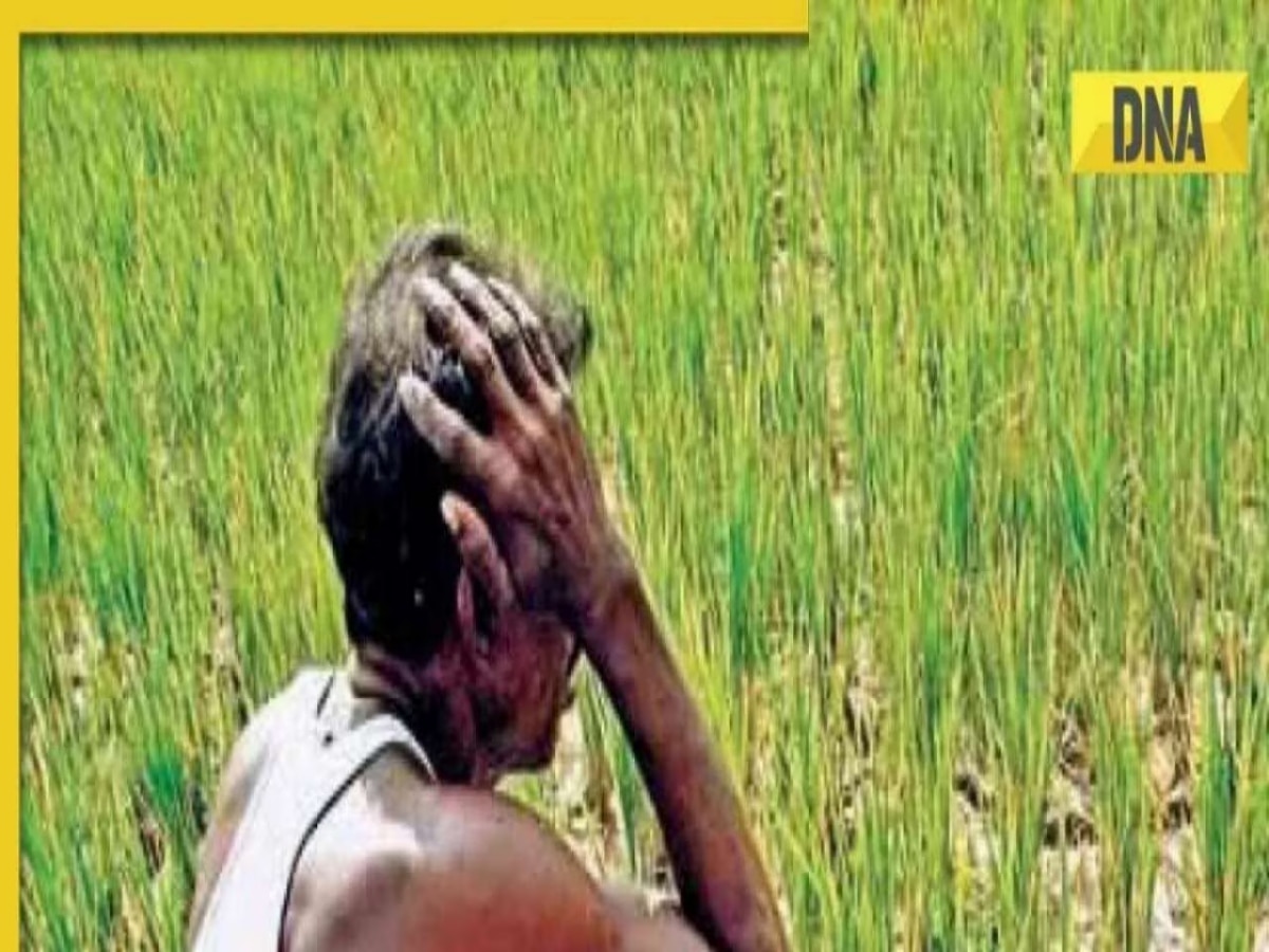 PM KISAN 20th installment: PM Modi to release funds today, check eligibility and other details