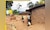 This Jharkhand village, spread over 87 hectares, is home to just one family of 40, they receive...