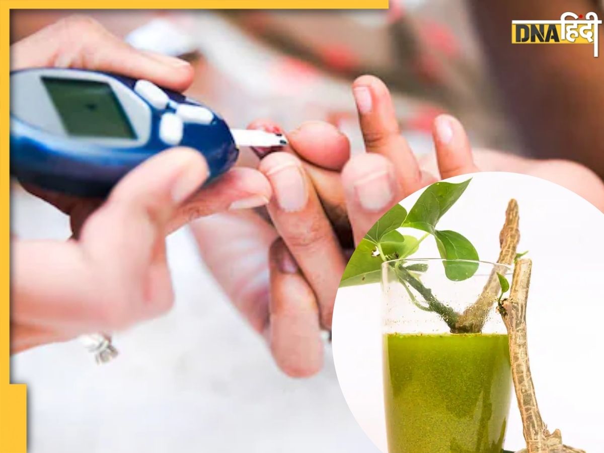 High Blood Sugar को कम करने के लिए अपनाएं ये नुस्खा, इन औषधीय पत्तों का
