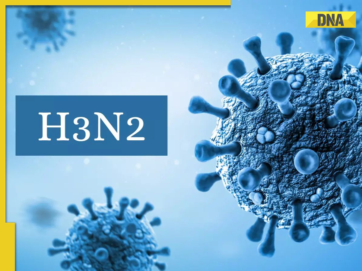 2723146-untitled-design-8