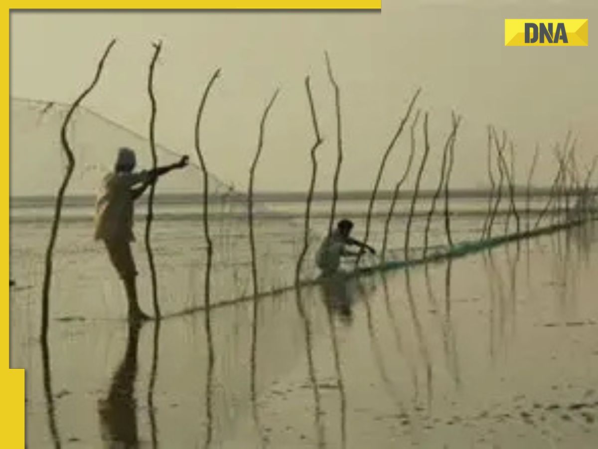 general Sir Creek is a 96-km-long tidal estuary between Gujarat's Rann of Kutch and Pakistan general What is Sir Creek? Rajnath Singh's BIG warning, disputed region between India and Pakistan