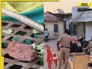 20 injured after stones thrown at Durga idol immersion in Maharashtra's Buldhana, security tightened, several detained, WATCH