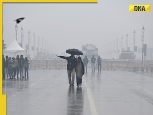 Delhi-NCR witnesses cold morning, overnight shower dips temperature; IMD predicts more rain till...