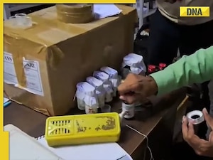 Coldrif Cough Syrup Case: ED raids 7 Chennai locations linked to Sresan Pharma 