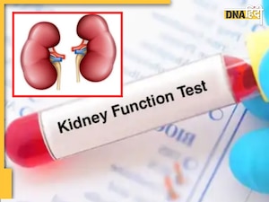 Kidney Function Test: शरीर में दिख रहे हैं ये लक्षण तो तुरंत कराएं ये ...