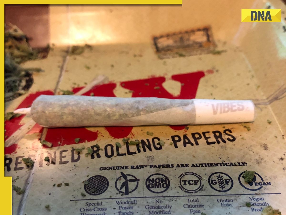 This state bans sale of tobacco rolling papers, cones to curb drug  addiction in teenagers, young adults