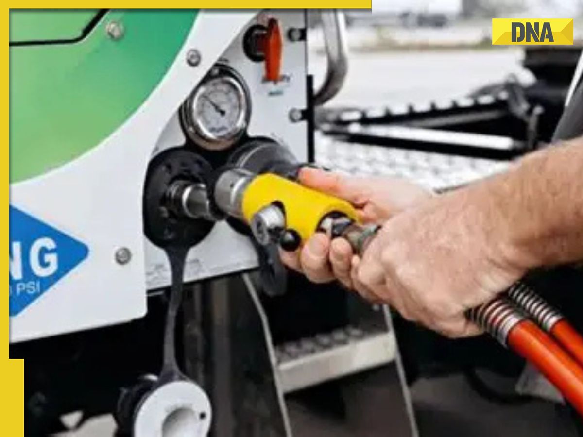 CNG, domestic PNG prices to drop by Rs..., from January 1, know who will benefit the most, check details 