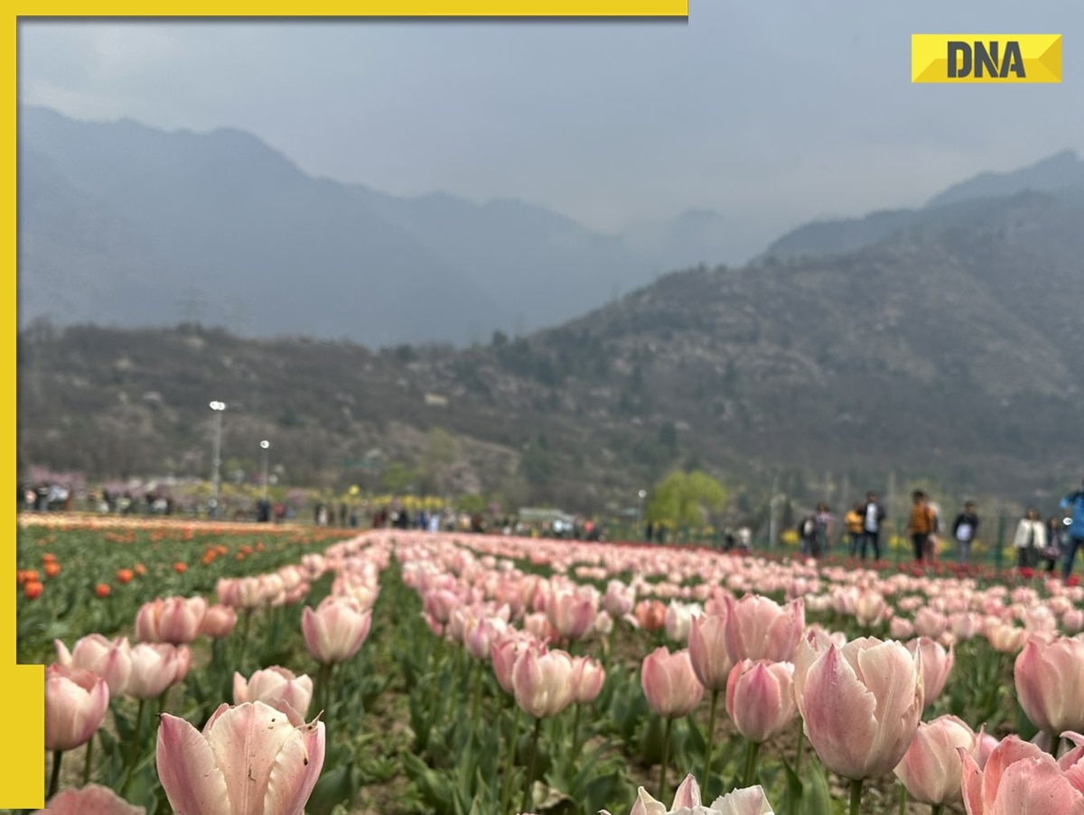 DNA TV Show: Kashmir’s air quality deteriorates as AQI crosses 300