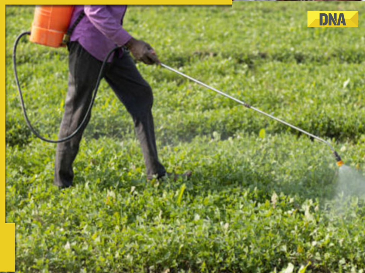 Is China hoarding fertiliser amid Iran war? Is it a warning sign for India?