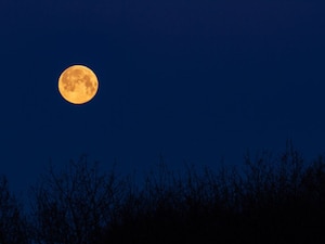What is Blue Moon? Rare bright moon to be seen on May 31; Check timing in India, more here