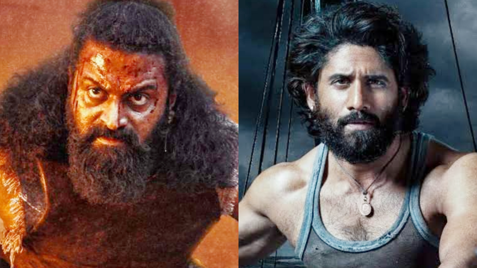 SIIMA 2026 winners list: Kantara Chapter 1 wins Best Film; Rishab Shetty, Naga Chaitanya bag top acting honours