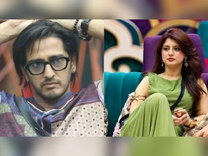 Bigg Boss 20: Qazi Touqeer becomes matchmaker between Arishfa Khan and BTS' V | ARMY reacts