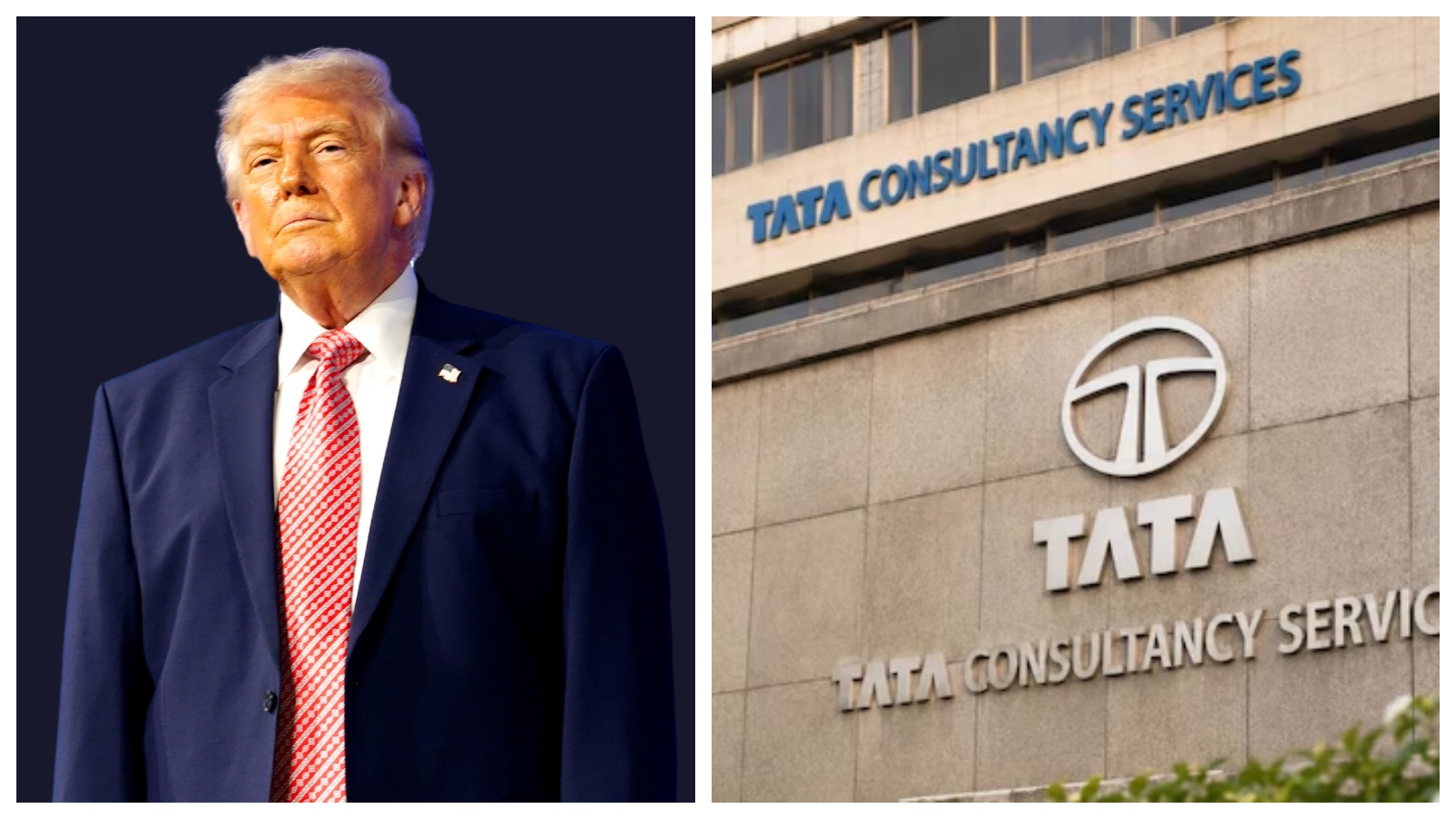 US Green Card Row: TCS says PERM suspension won't impact business, applications in single digits