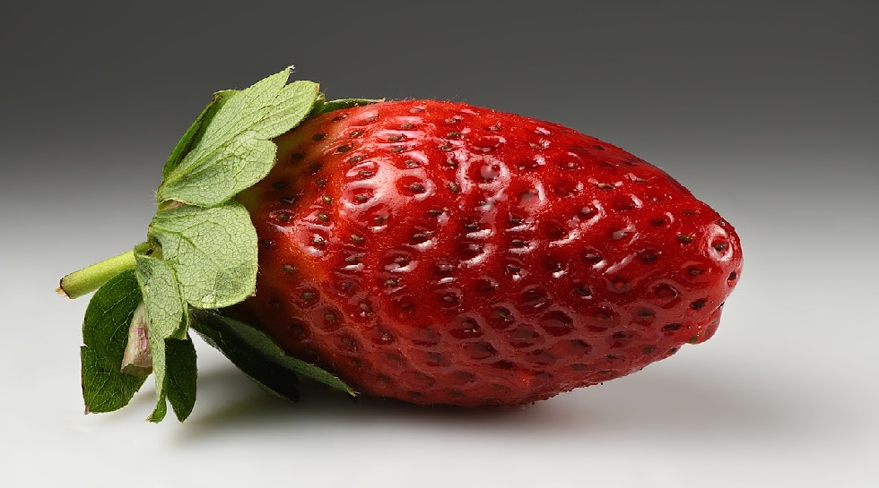 strawberry 