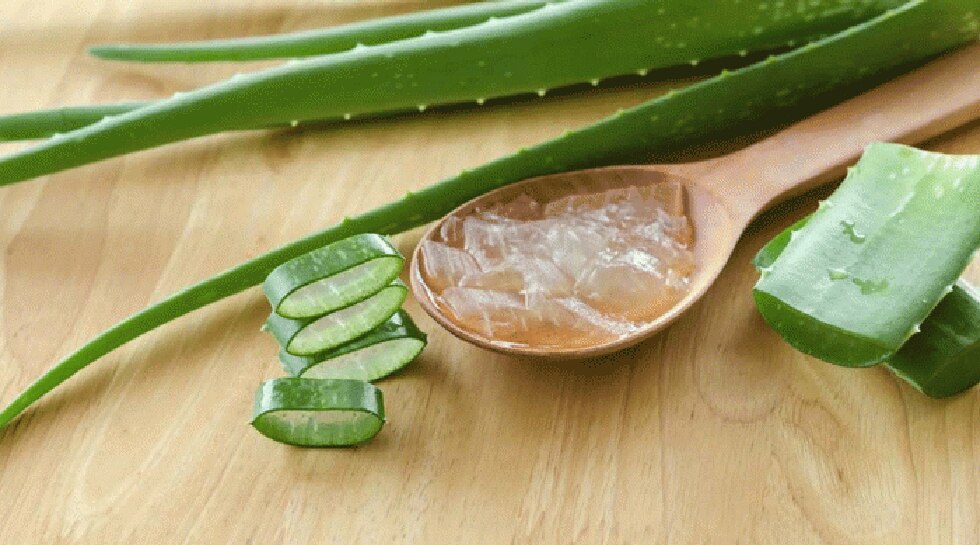 Aloe Vera Gel