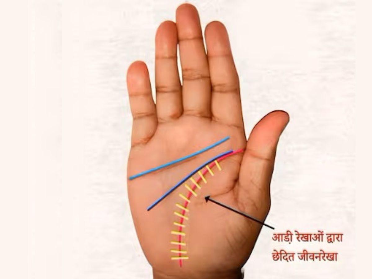 Palmistry astrology love line in palm