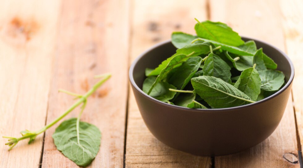 tulsi leaves